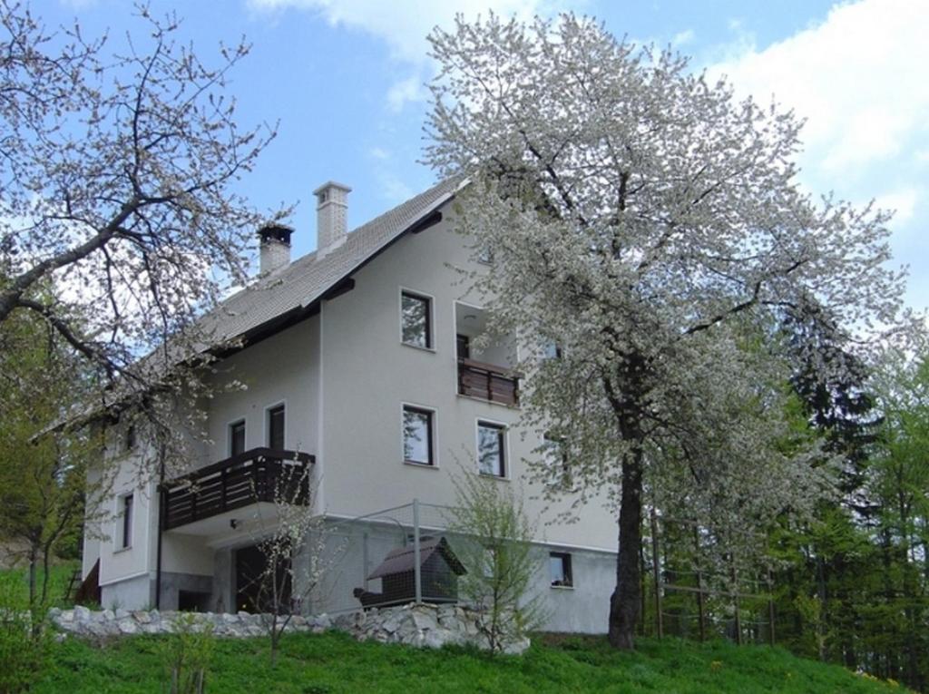 Apartments Pri Marjetki 체르크노 외부 사진