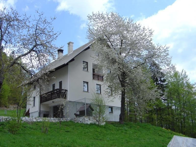 Apartments Pri Marjetki 체르크노 외부 사진